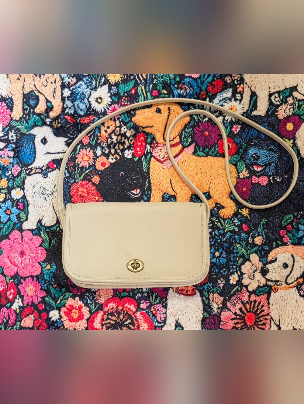 Vintage 80s Coach Bone Leather Purse Crossbody Clutch #9755 NYC Creed RARE
